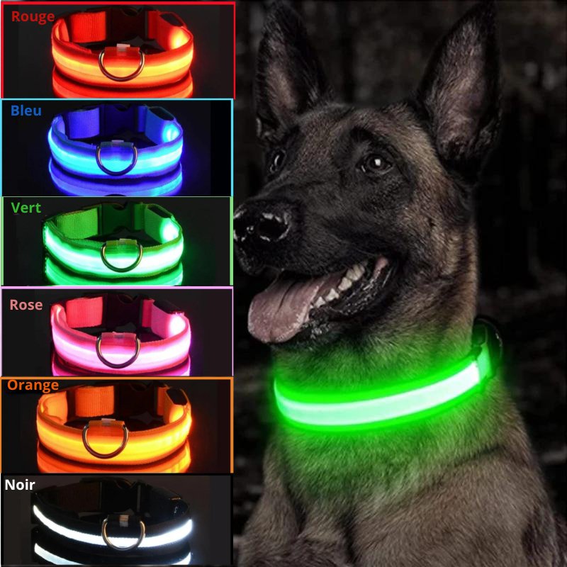 Collier LED pour chien - Bande de collier éclairée rechargeable