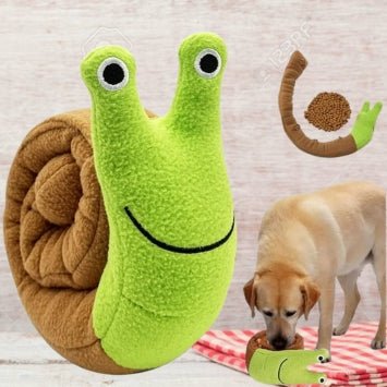 Morin - Les meilleurs jouets pour chien : guide complet